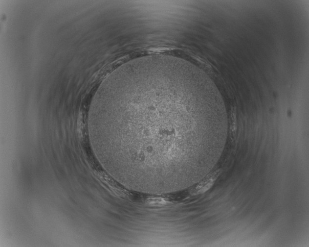 X0000056370519200508291404