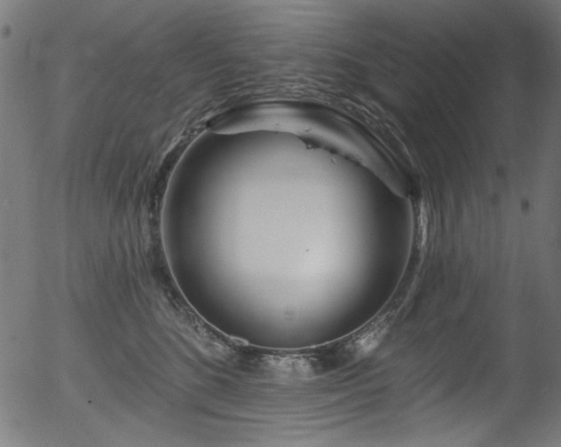 X0000056370520200508291404