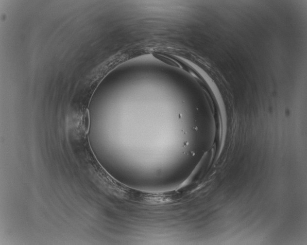 X0000056370521200508291404