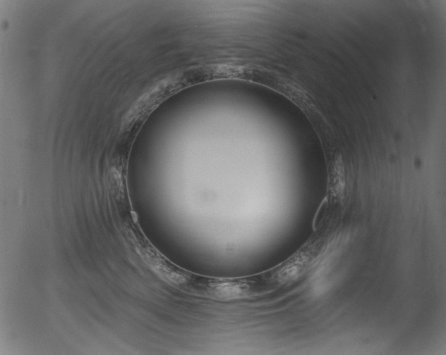 X0000056370522200508291404