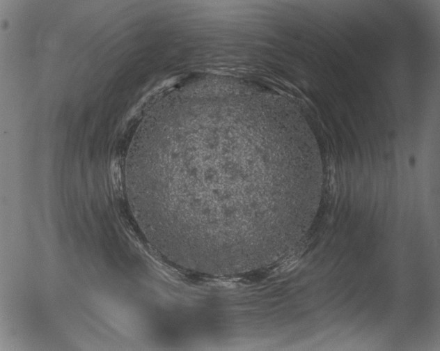 X0000056370523200508291404