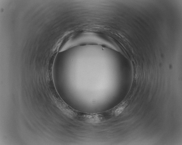 X0000056370524200508291404