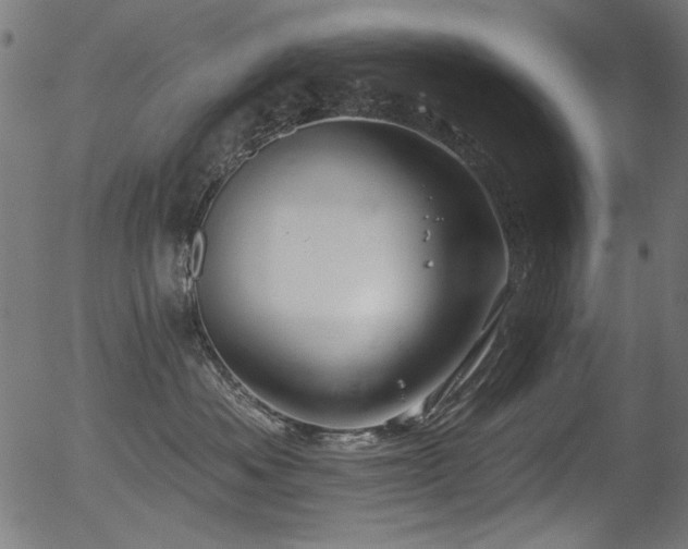 X0000056370525200508291404