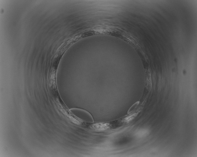 X0000056370526200508291404