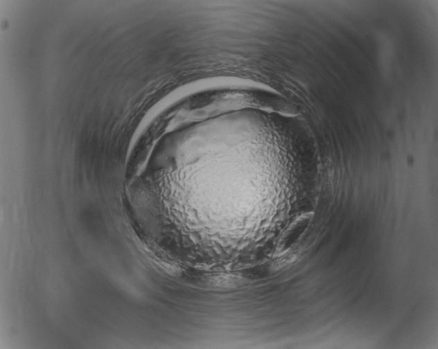 X0000056370527200508291404