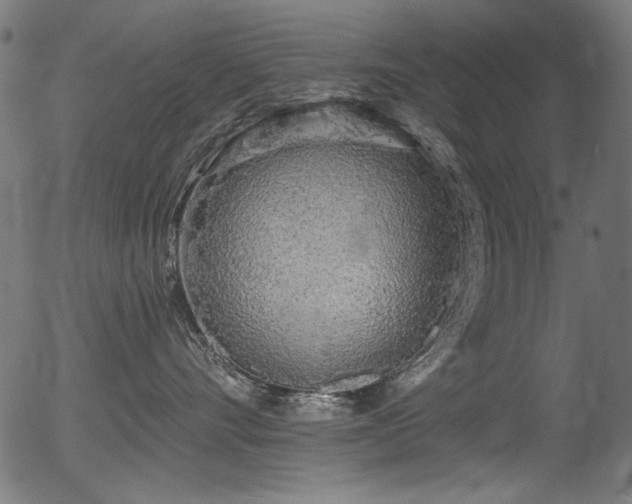 X0000056370528200508291404