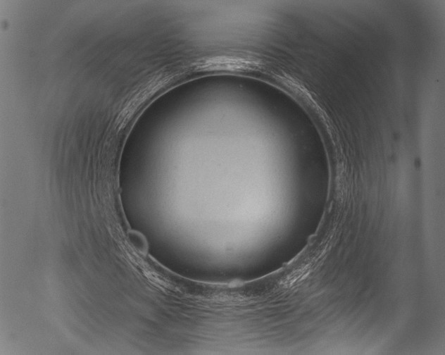 X0000056370529200508291403