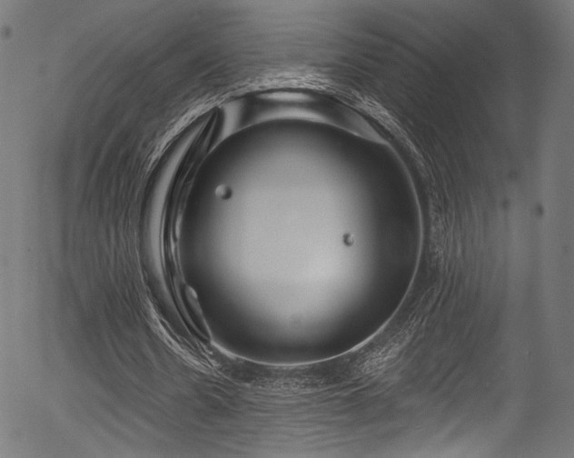 X0000056370530200508291403