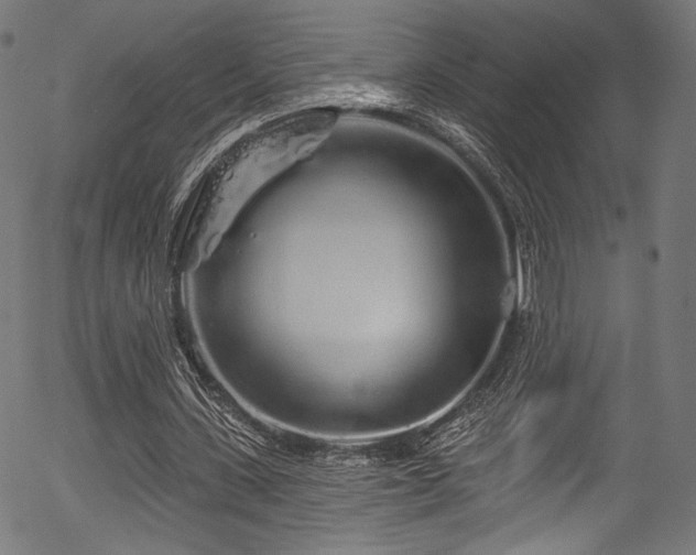 X0000056370531200508291403