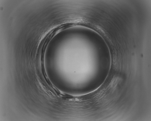 X0000056370532200508291403