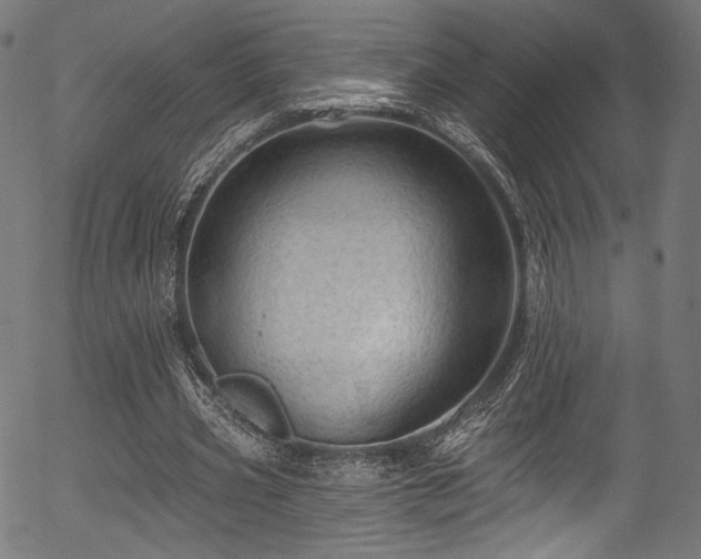 X0000056370533200508291403