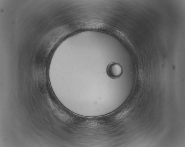 X0000056370534200508291403