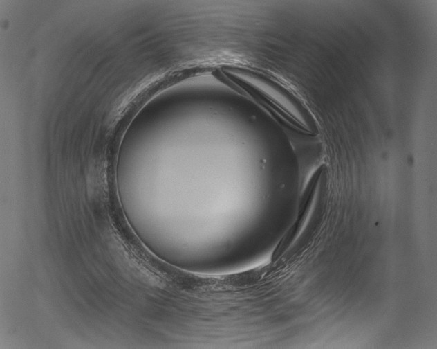 X0000056370535200508291403