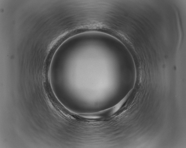 X0000056370536200508291403