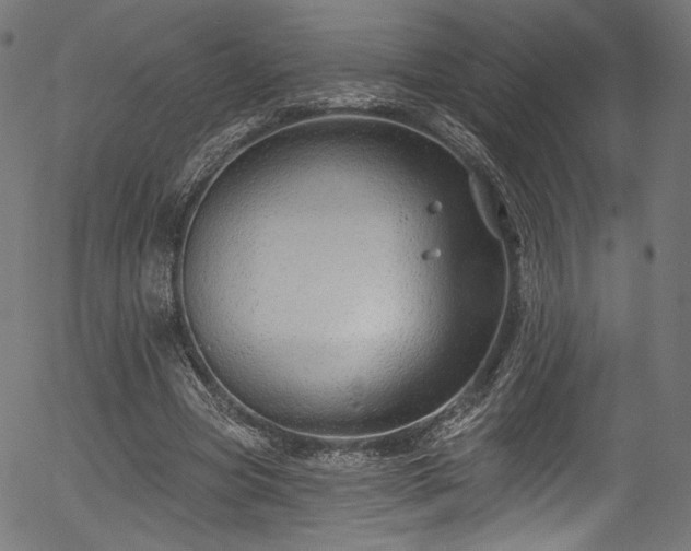 X0000056370537200508291403