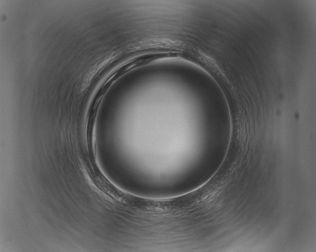 X0000056370538200508291403