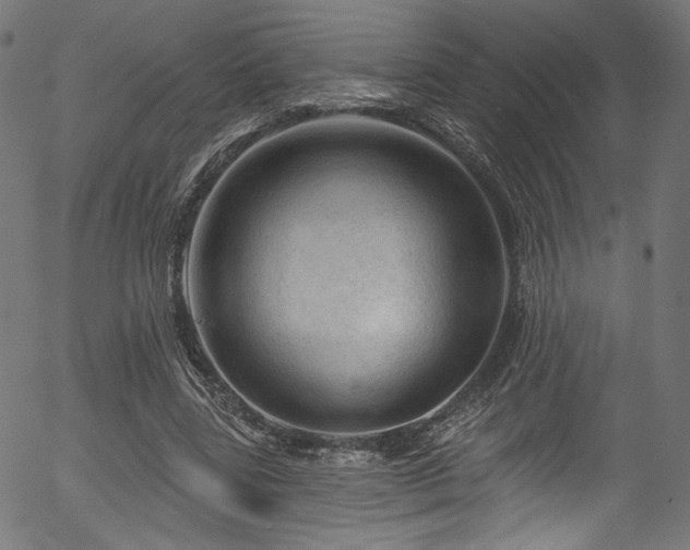 X0000056370539200508291403