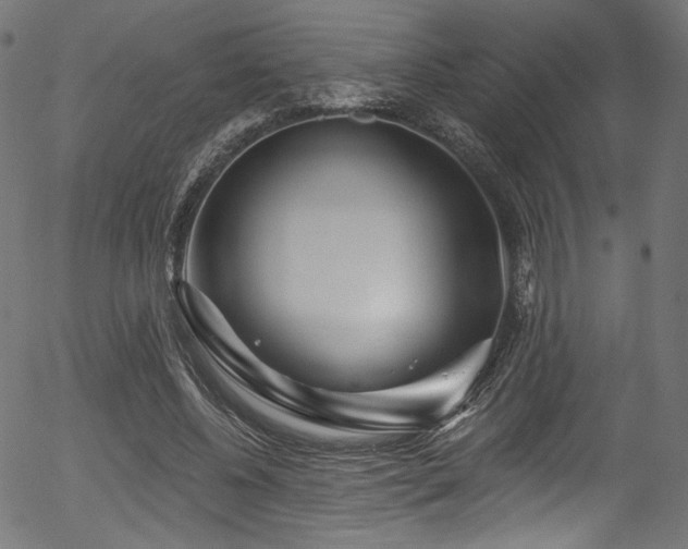 X0000056370540200508291403