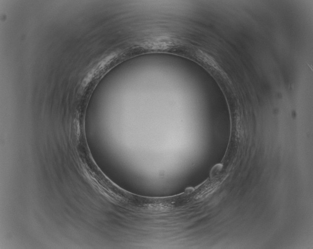 X0000056370541200508291403