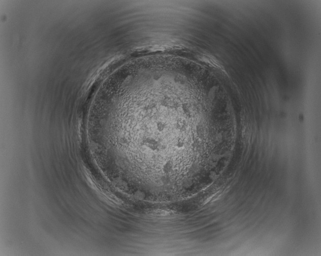 X0000056370542200508291403