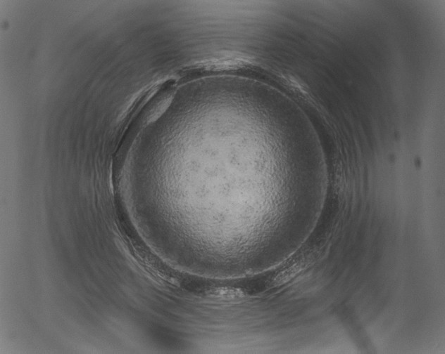 X0000056370543200508291403