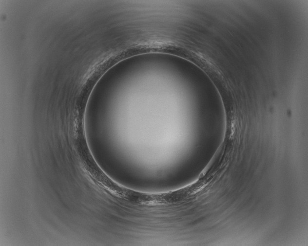 X0000056370544200508291403