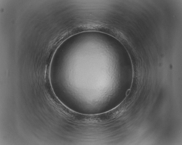 X0000056370545200508291403