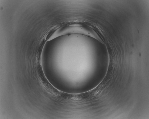 X0000056370546200508291404