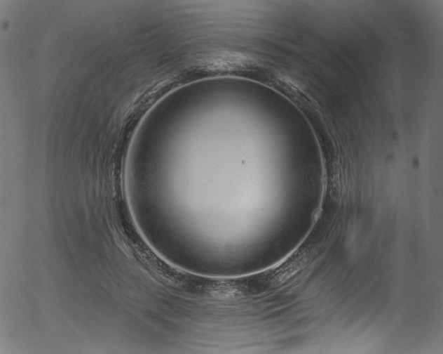 X0000056370547200508291404