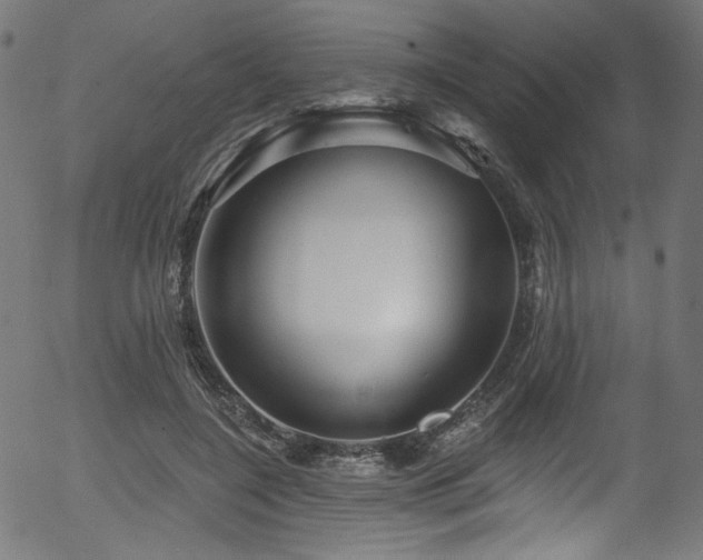 X0000056370548200508291404