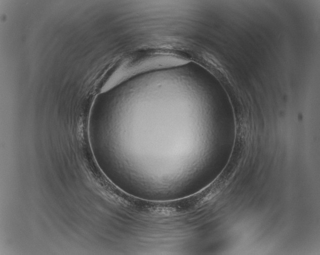 X0000056370549200508291404