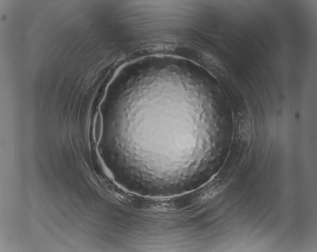 X0000056370550200508291404