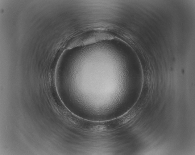 X0000056370551200508291404