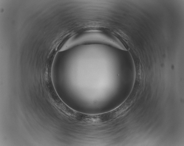 X0000056370552200508291404