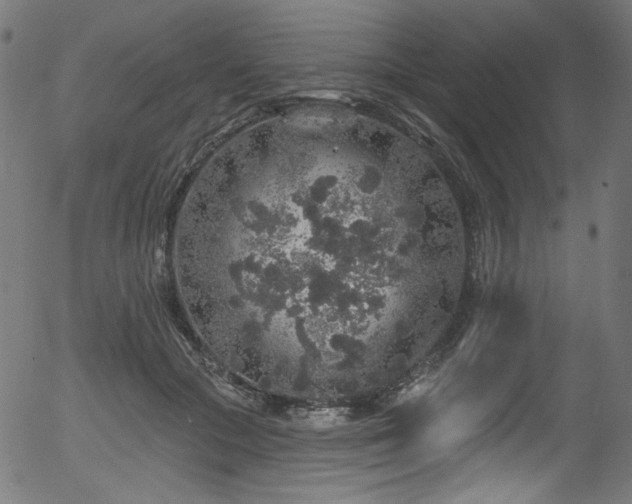 X0000056370553200508291404