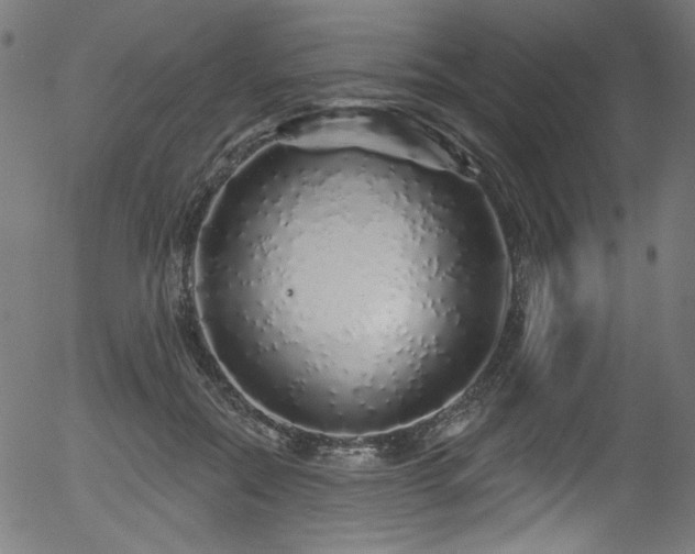 X0000056370554200508291404