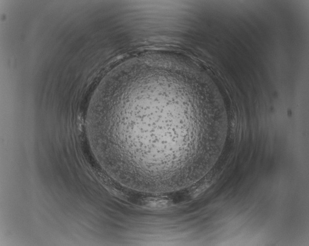 X0000056370555200508291404