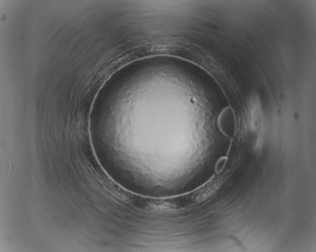 X0000056370557200508291404