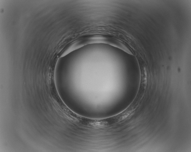 X0000056370558200508291404