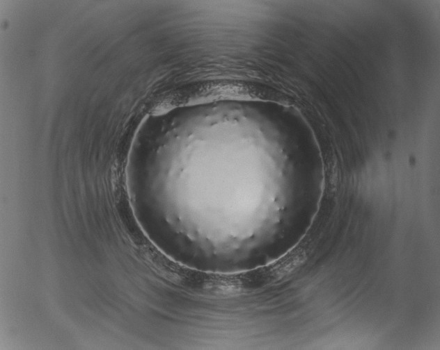 X0000056370559200508291404