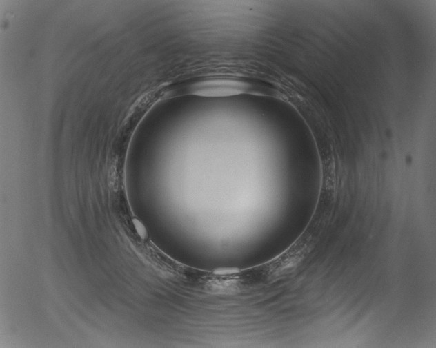 X0000056370560200508291404