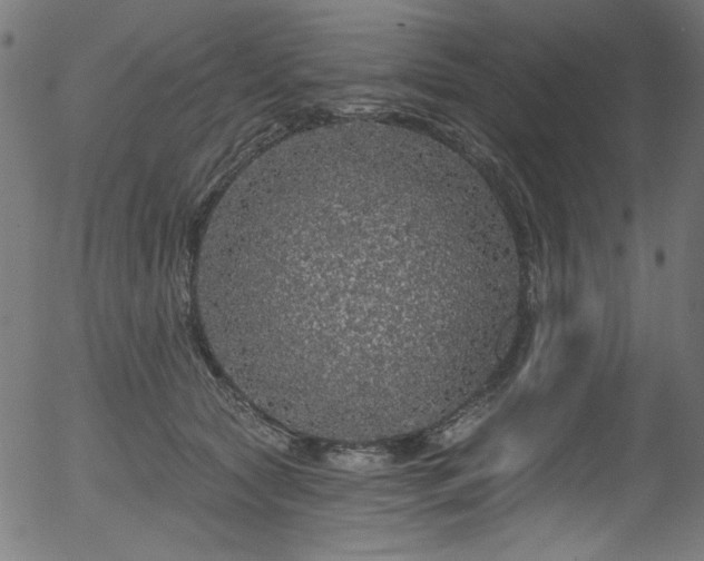 X0000056370561200508291404