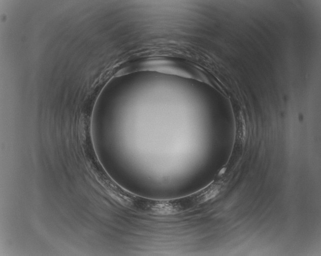 X0000056370562200508291404