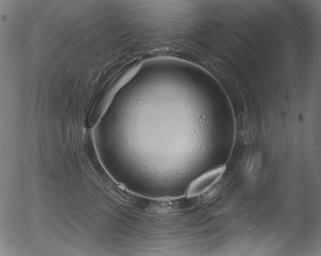 X0000056370563200508291404