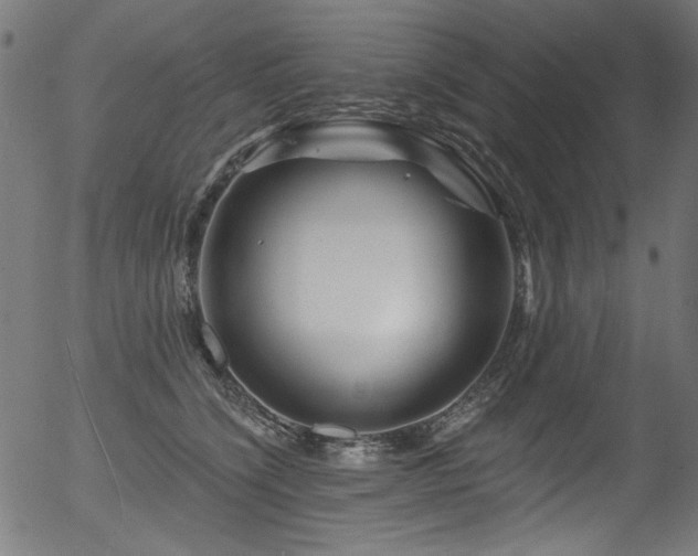 X0000056370564200508291404