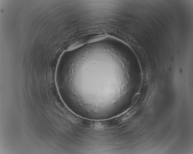 X0000056370565200508291404