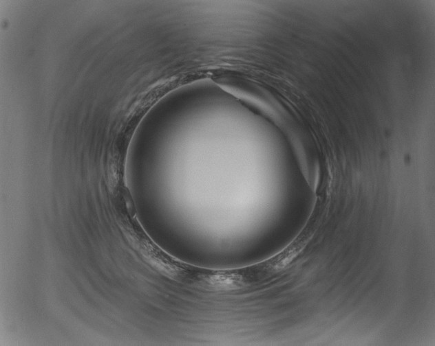 X0000056370566200508291404