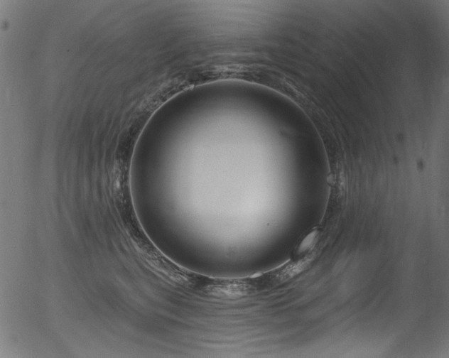 X0000056370567200508291404