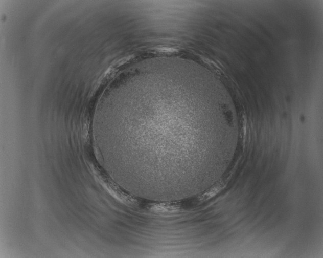 X0000056370568200508291404