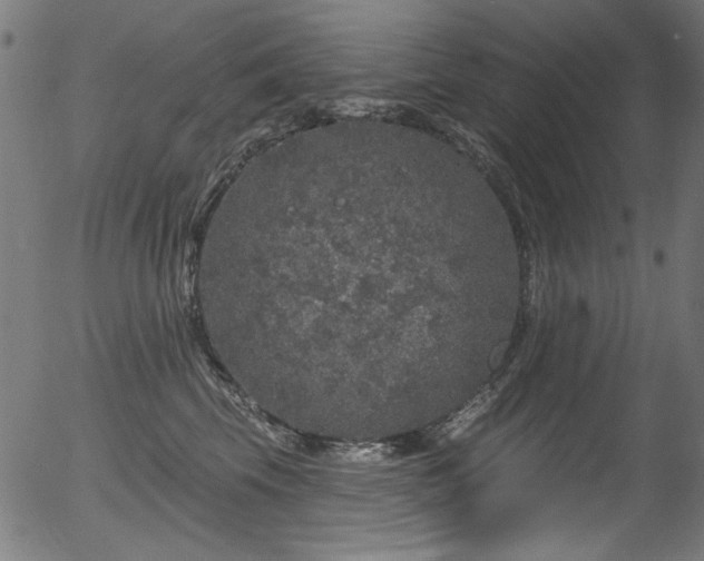 X0000056370569200508291404